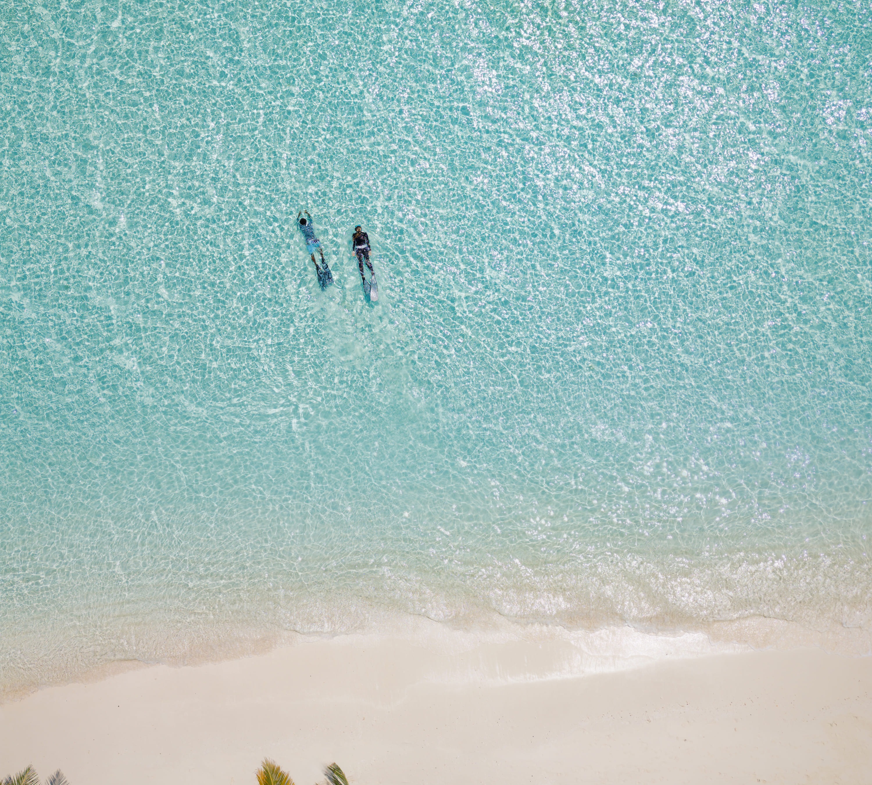 Magical Festive Season Programme 