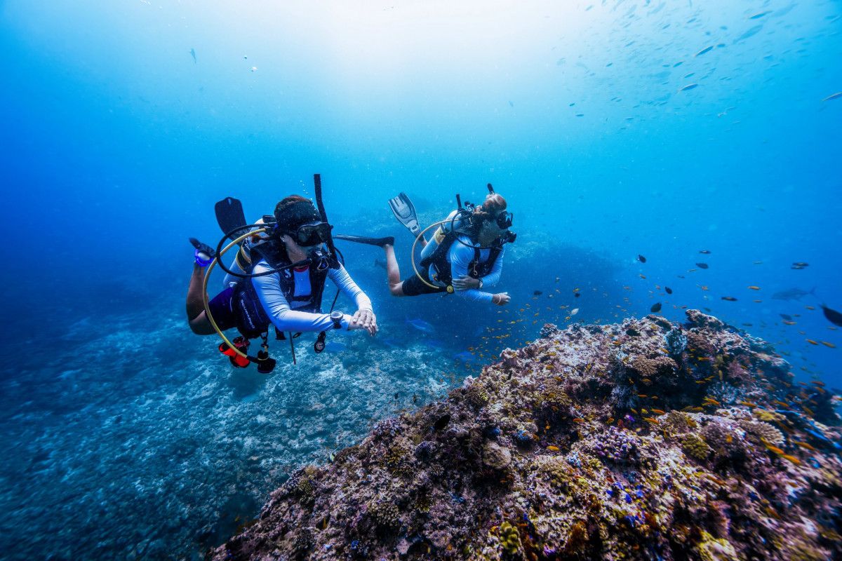 Autumn ocean exploration: Nova Maldives and PADI unite for Project AWARE Week this September