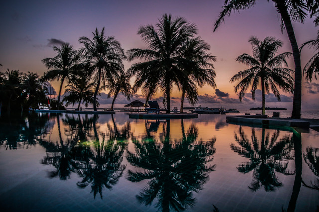 Lunar New Year 2026 at Kandooma Maldives