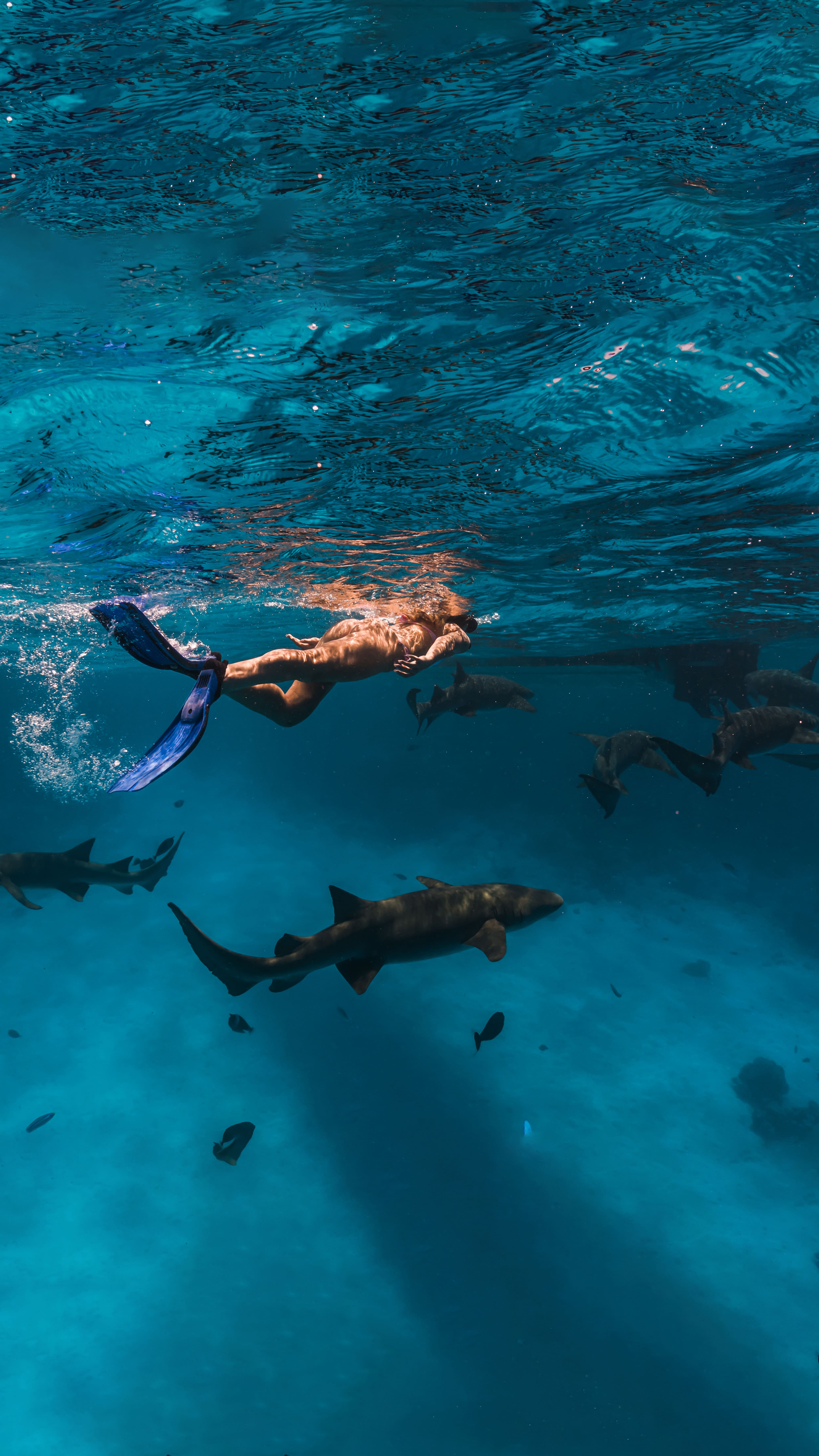 Sun Siyam Vilu Reef: New Water Adventures