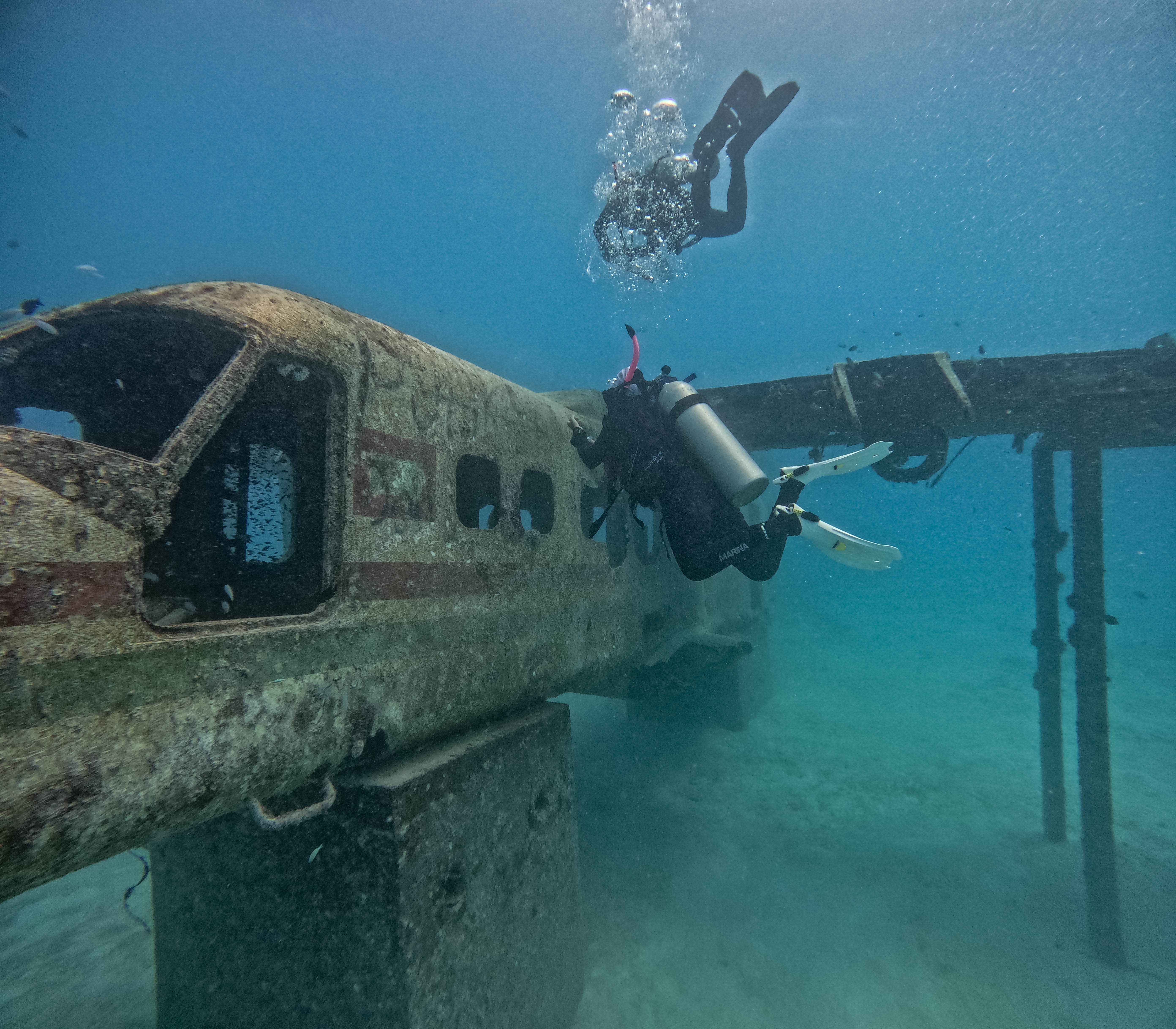 Dhoonier Wreck Coral Planting Initiative