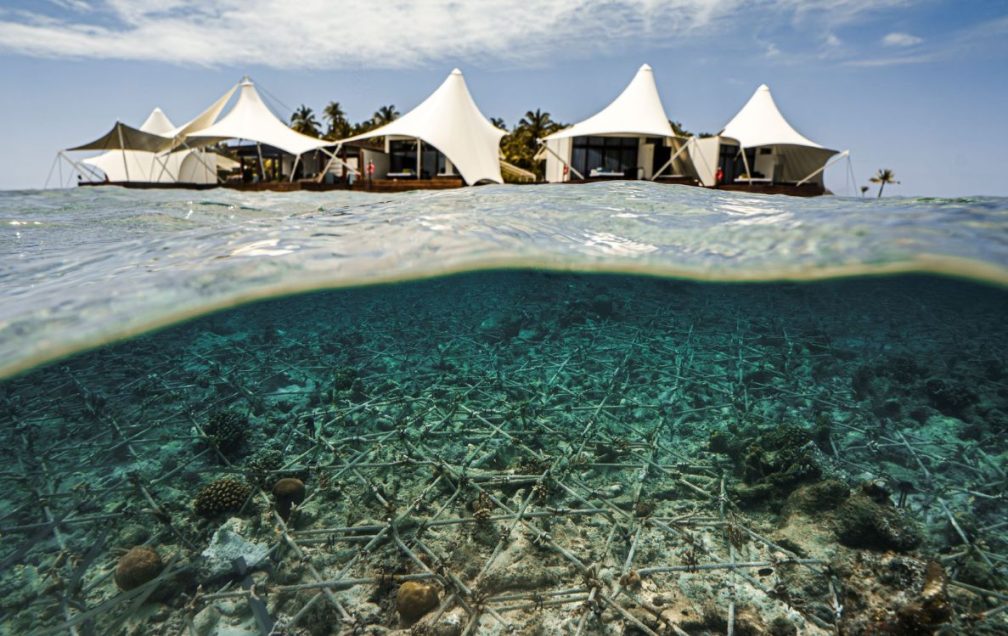 Summer Experiences Across Marriott Bonvoy Maldives Resorts