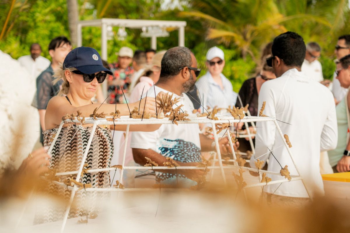 Sun Siyam Iru Veli marks Ocean Week with new coral planting programme