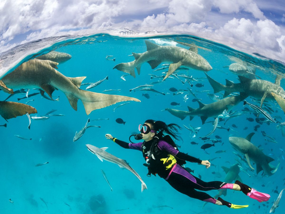 Ocean Discovery Week Returns to The Nautilus Maldives with Tobias Friedrich and Family