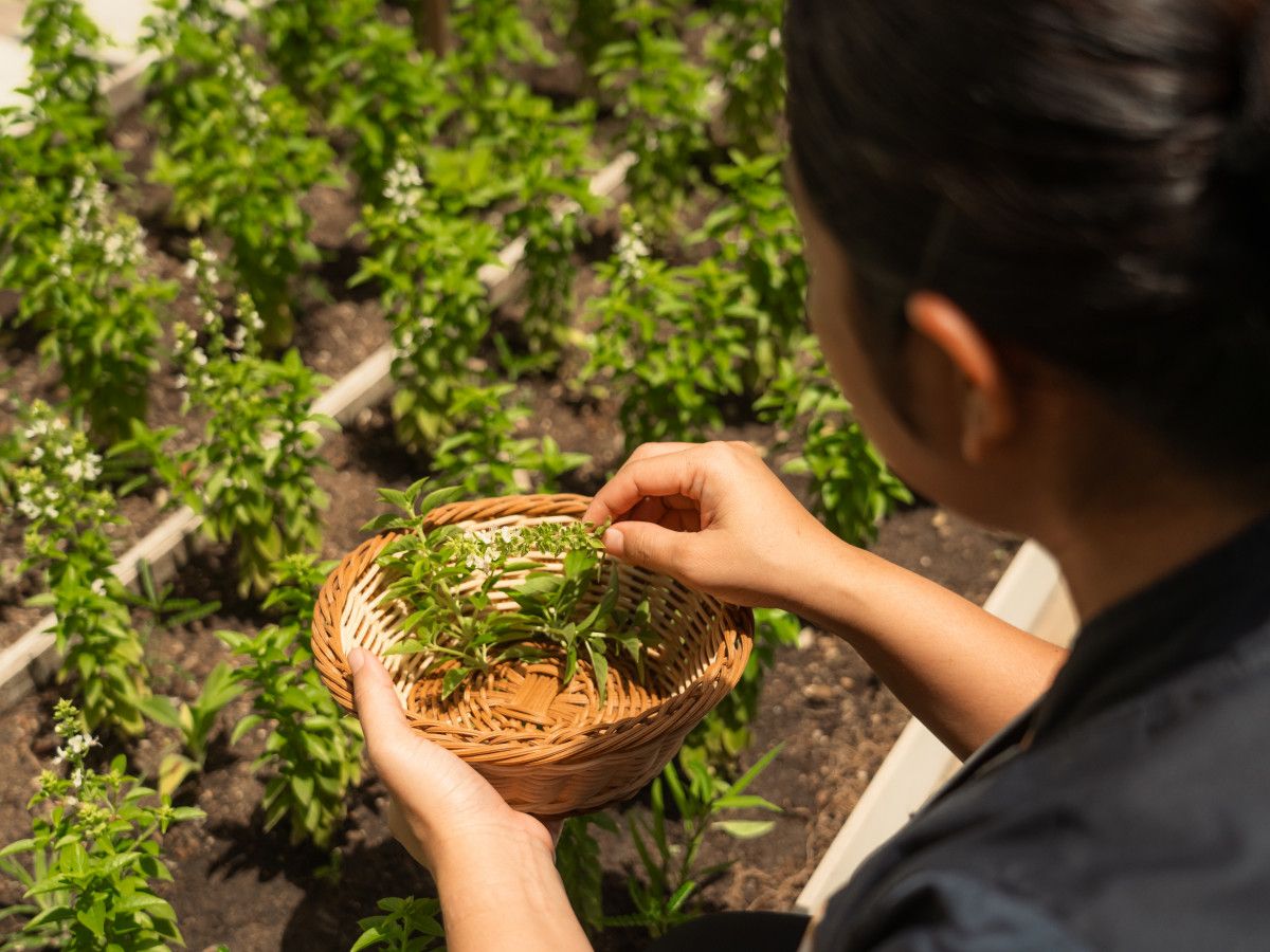 Sun Siyam Vilu Reef brings Earth Day to life through community and conservation