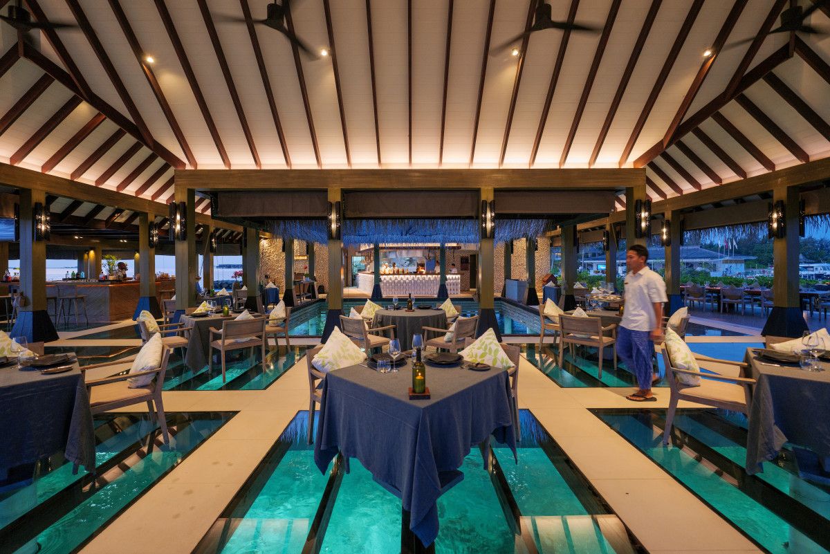 Grand Park Kodhipparu Maldives introduces ‘Kodhipparu Reef Connection’ – a new way to experience the Maldives’ award-winning house reef